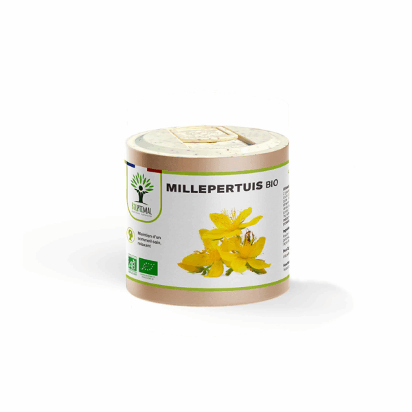 Millepertuis – Plante naturelle apaisante pour l’humeur et les douleurs menstruelles